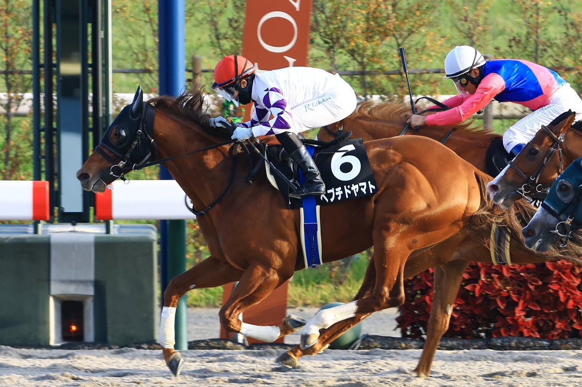 ペプチドヤマトが勝利！WIN5的中者も続出