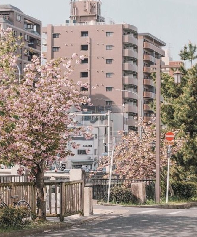 「早く寝よ」がトレンドに！ 疲れた投稿者が語る夜更かしのリアル