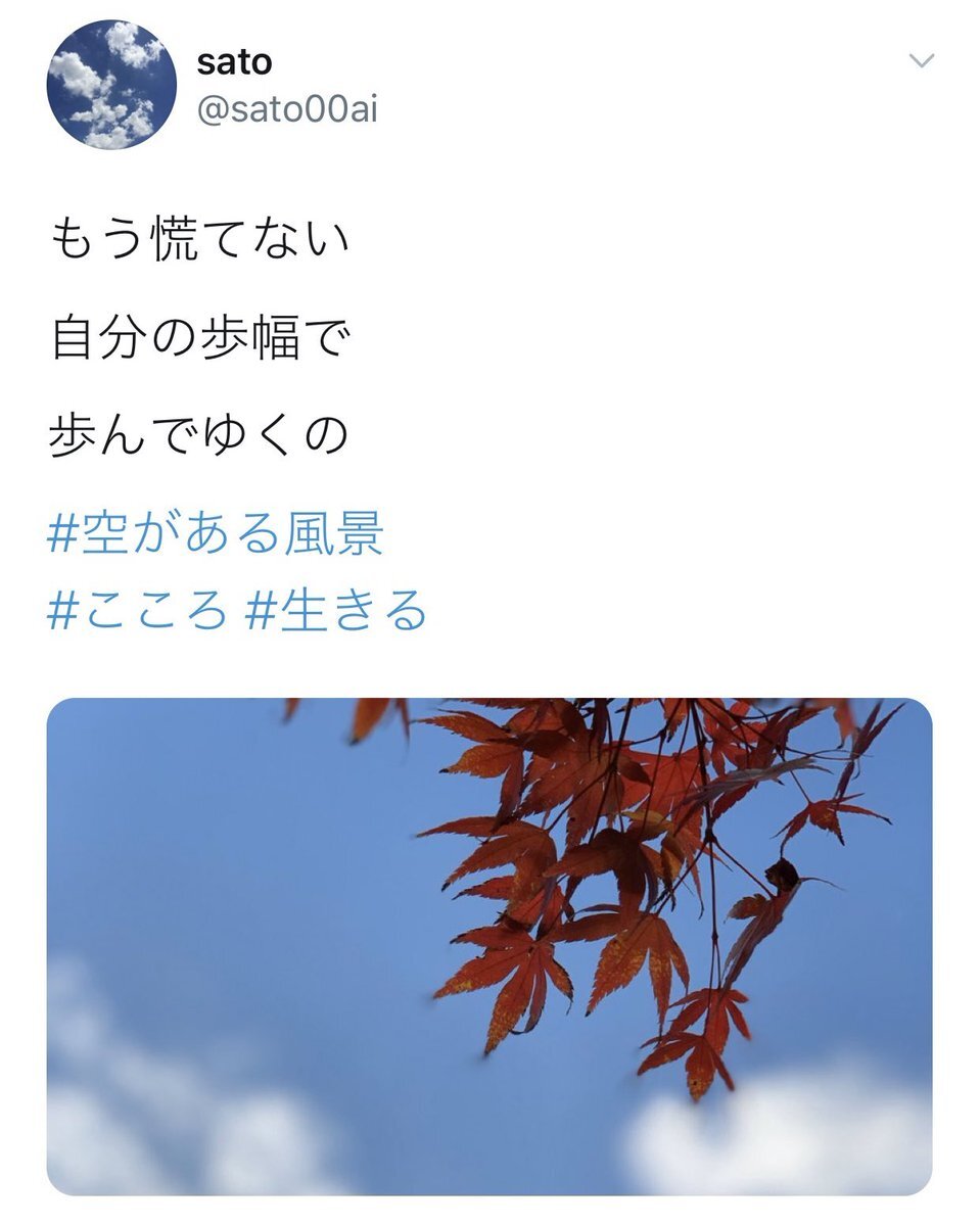 文化の日にSNSはどんな投稿が？