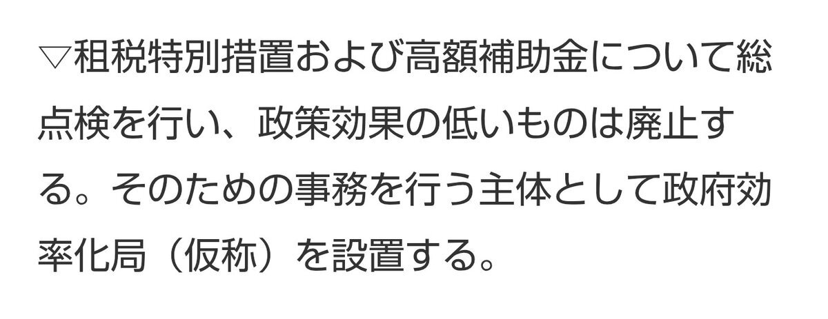 日本版DOGE：政府効率化へ期待と疑問の声