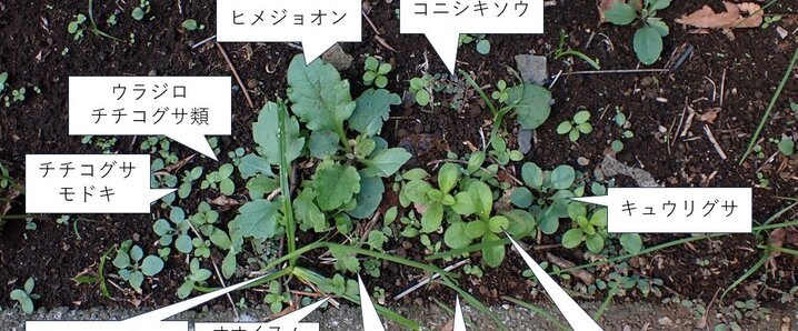ヘアドネーション」のYahoo!リアルタイム検索 - X（旧Twitter