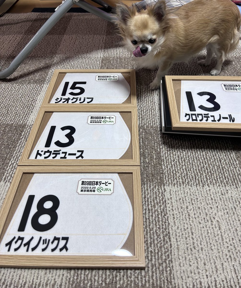 レプリカゼッケン」のYahoo!リアルタイム検索 - X（旧Twitter