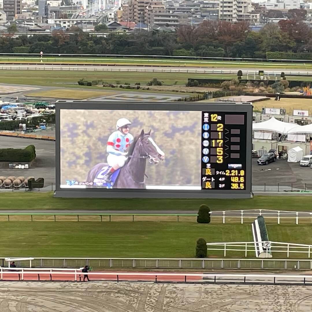 ドラマ「ロイヤルファミリー」のイマジンドラゴン、秋古馬三冠を達成？