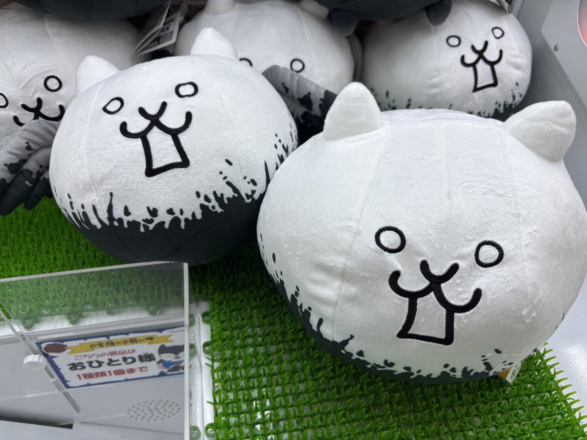 サラブレッドコレクション 新作」のYahoo!リアルタイム検索 - X