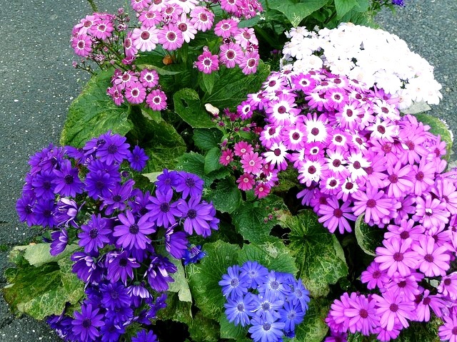 ビフィズス菌の日！腸活を呼びかけるSNS投稿が多数