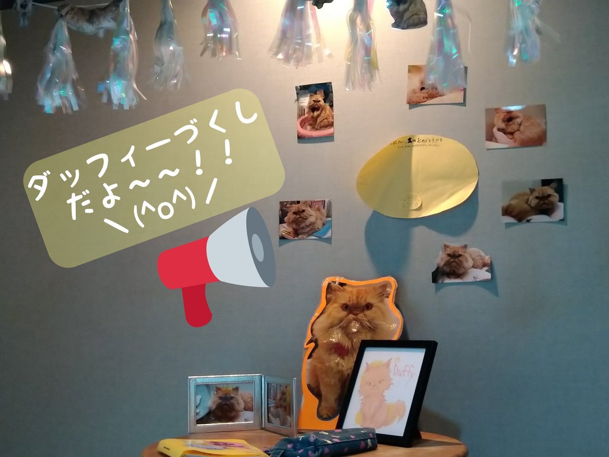エキゾチック のtwitter検索結果 Yahoo リアルタイム検索