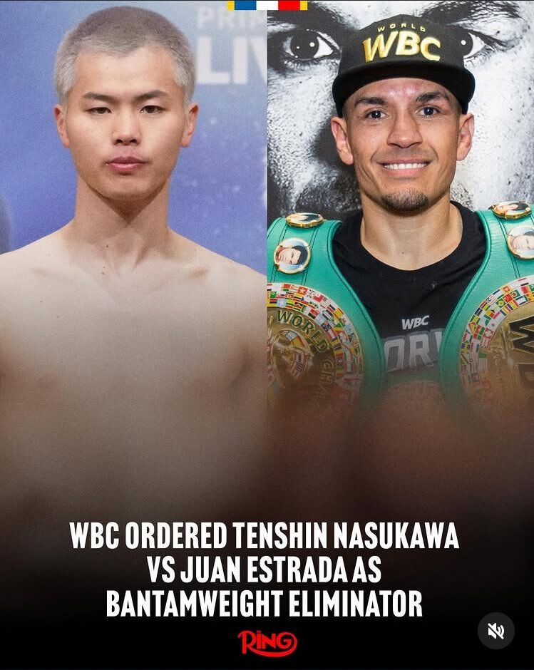 那須川天心、エストラーダとWBCバンタム級挑戦者決定戦！