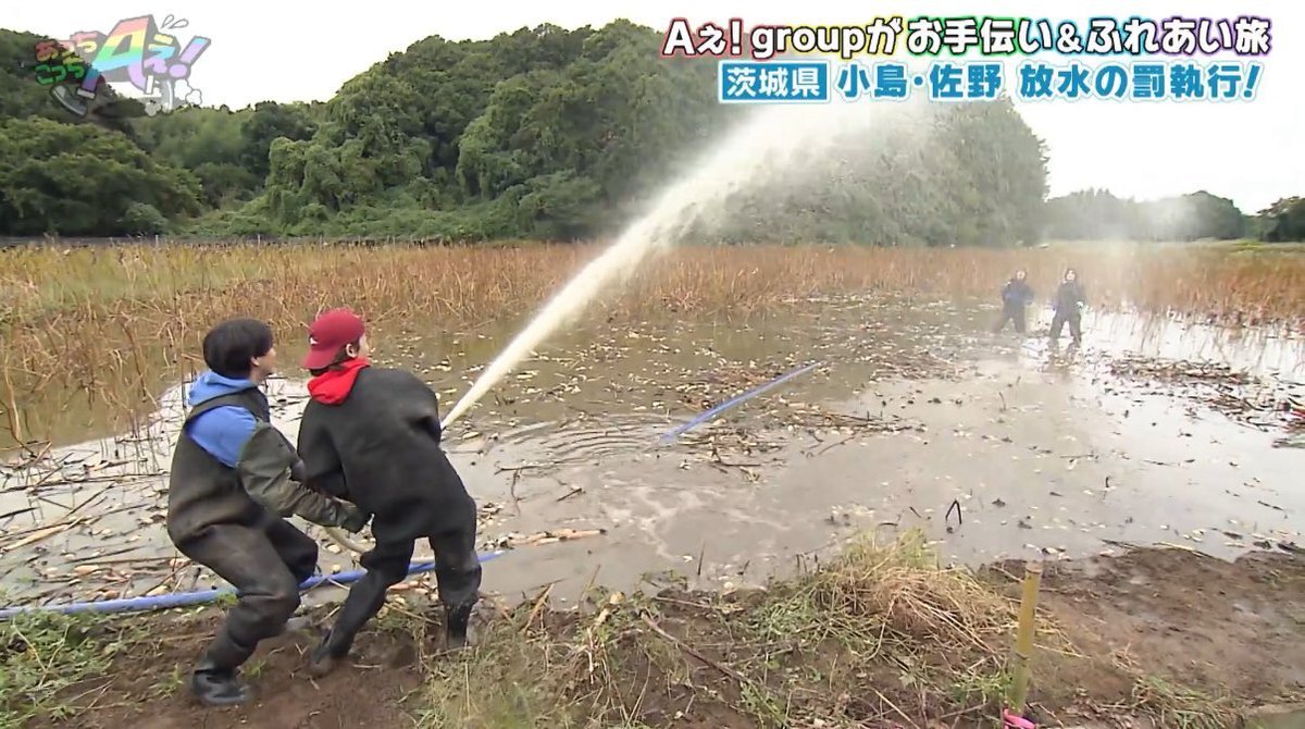 こじまさや、あっちこっちAぇ！でレンコン畑でびしょ濡れ！次回も栃木ロケでいざこざ？