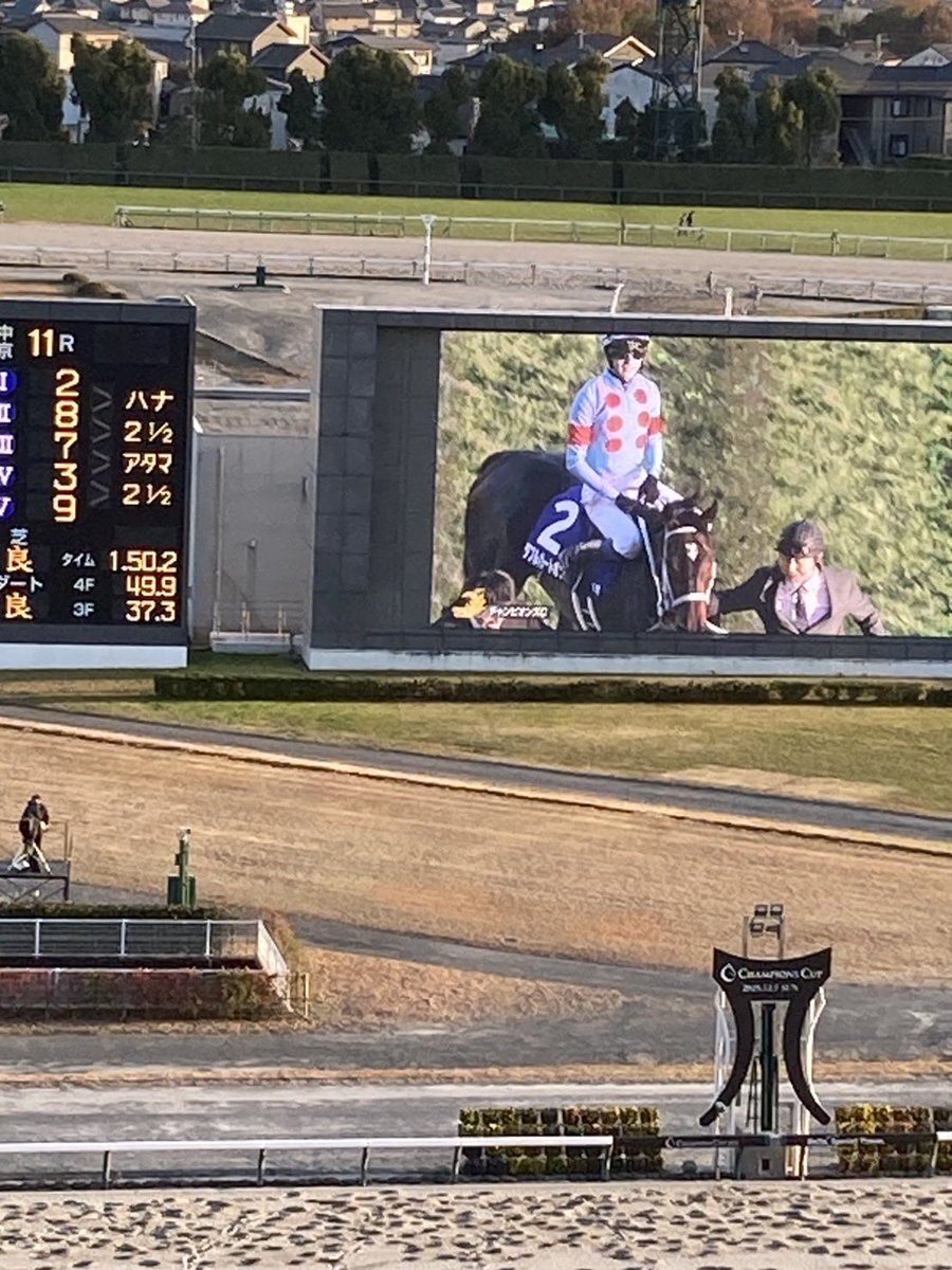 坂井瑠星騎手、チャンピオンズカップ制覇！「緑のメンコ」再び登場