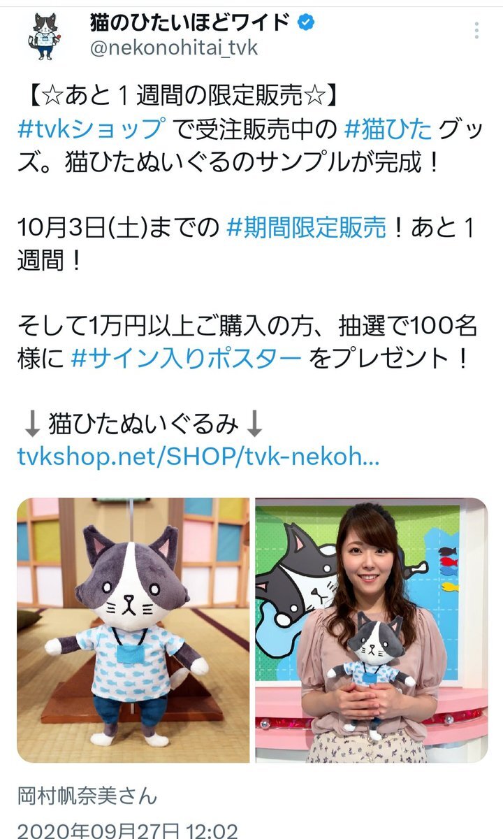 猫ひた」のYahoo!リアルタイム検索 - X（旧Twitter）を