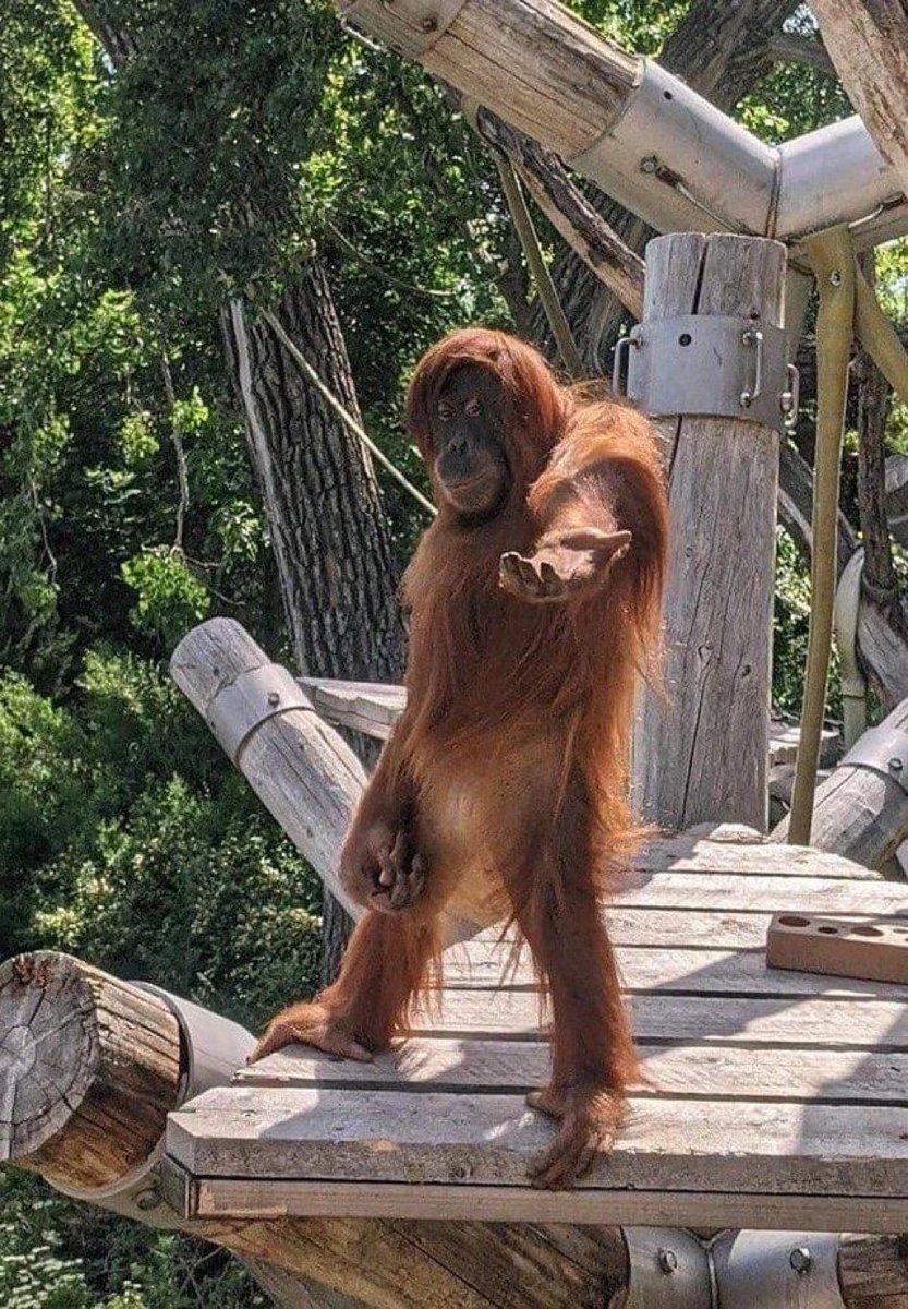 四大スポーツのレジェンド、グレツキーら豪華集結にファン興奮