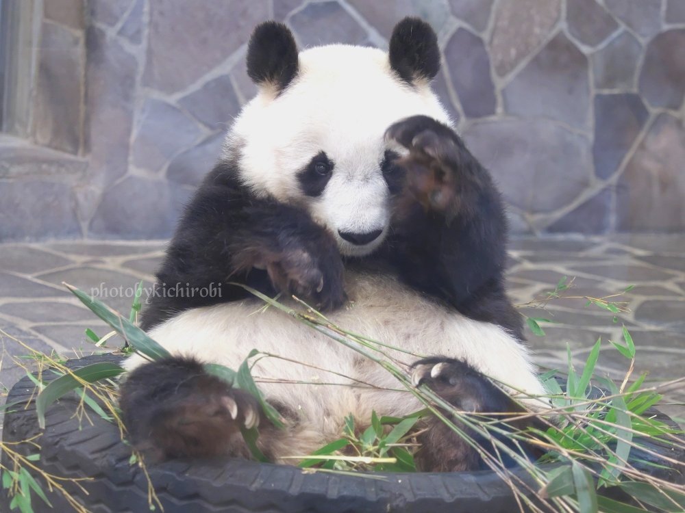 たんたんさん。ご確認お願いします たんたんさん。ご確認お願いします♡