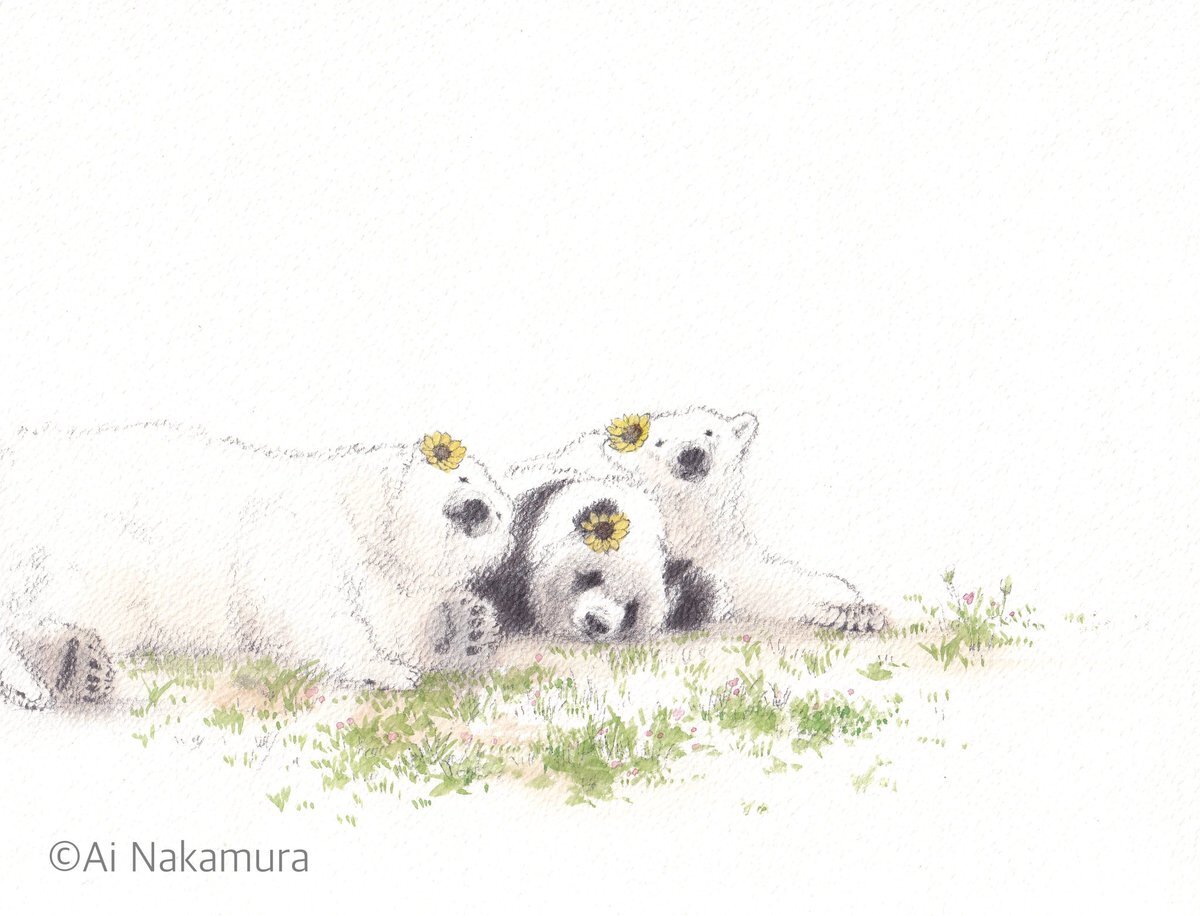 たんたんさん。ご確認お願いします 珍しきオレンジ🍊ｷﾘｯ