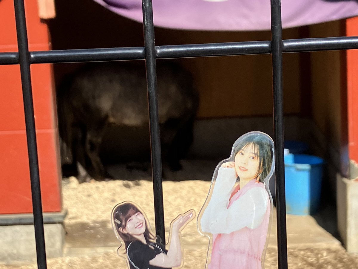 神田明神 あかりちゃん」のYahoo!リアルタイム検索 - X（旧