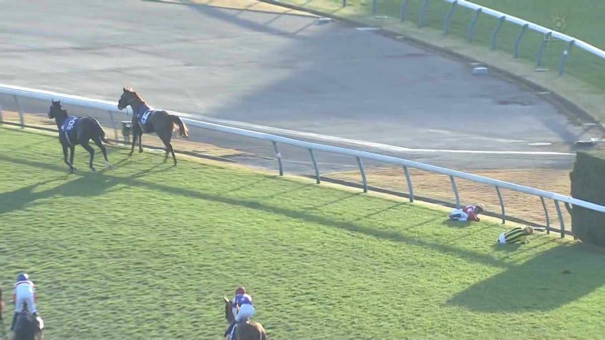 ジャパンカップ：入線後、マスカレードボールとダノンデサイルの接触でルメール、戸崎騎手落馬