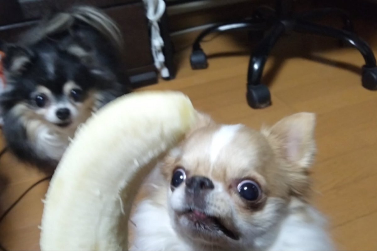 にゅーかわして」のYahoo!リアルタイム検索 - X（旧Twitter）を