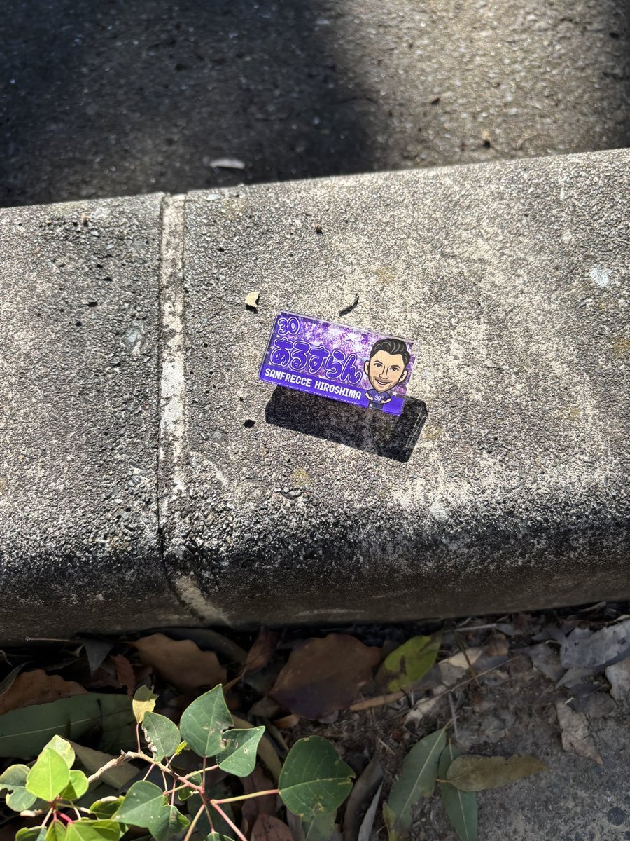 トルガイ選手の活躍でサンフレッチェ広島は勝利なるか？