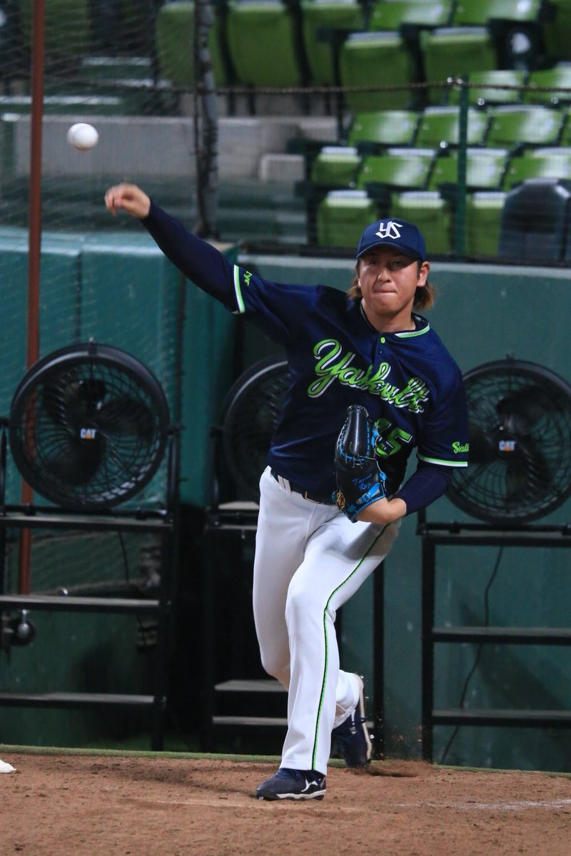 写真の田口麗斗コラ画です 写真の田口麗斗コラ画です