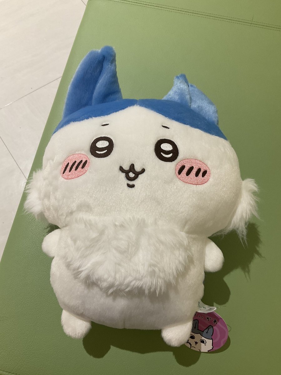 X（旧Twitter）で話題のおもしろ画像や動画 - Yahoo