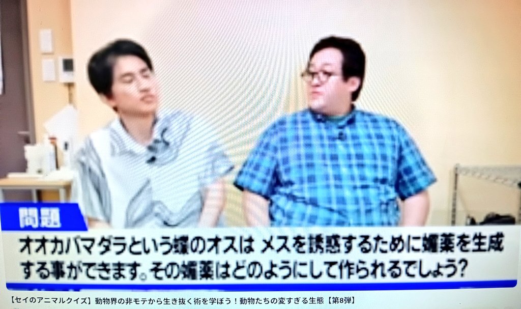 バキ童「アニセククイズ」卒業発表にファン驚き