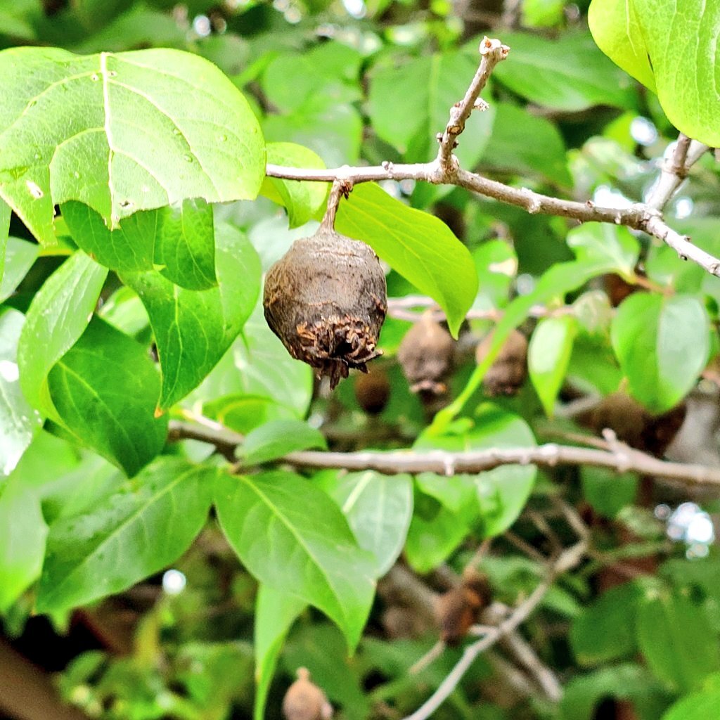 スエズ運河：世界を変えた歴史的航路