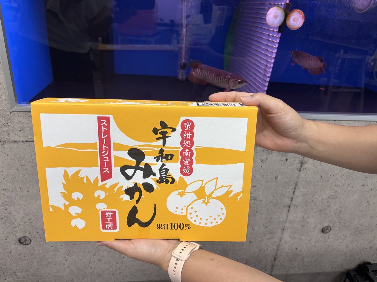 ⭐️みかんです⭐️ 愛媛みかん」のYahoo!リアルタイム検索 - X（旧Twitter）を