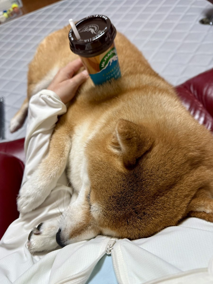 涼ちゃん様確認用 藤澤涼架 - Search / X