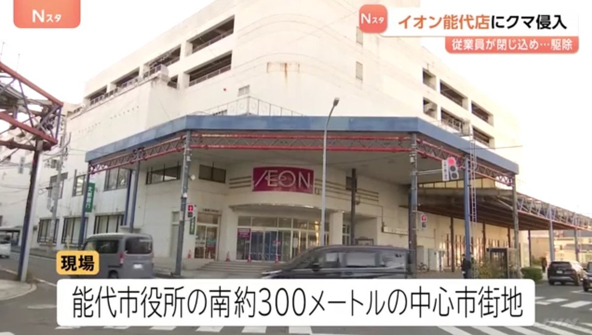 秋田・イオンにクマ侵入、県職員が吹き矢で駆除