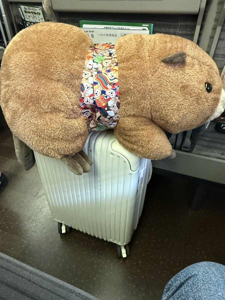 仙台 うみの杜水族館 アシカ ぬいぐるみ Amazon.co.jp: 仙台 うみの杜水族館 アシカ ぬいぐるみ : おもちゃ