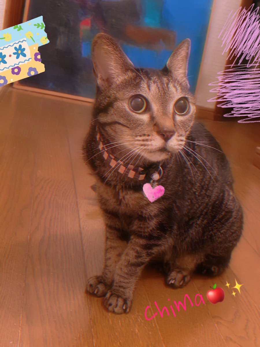 雷雨ページ ウェザーニュースLiVE on X: 