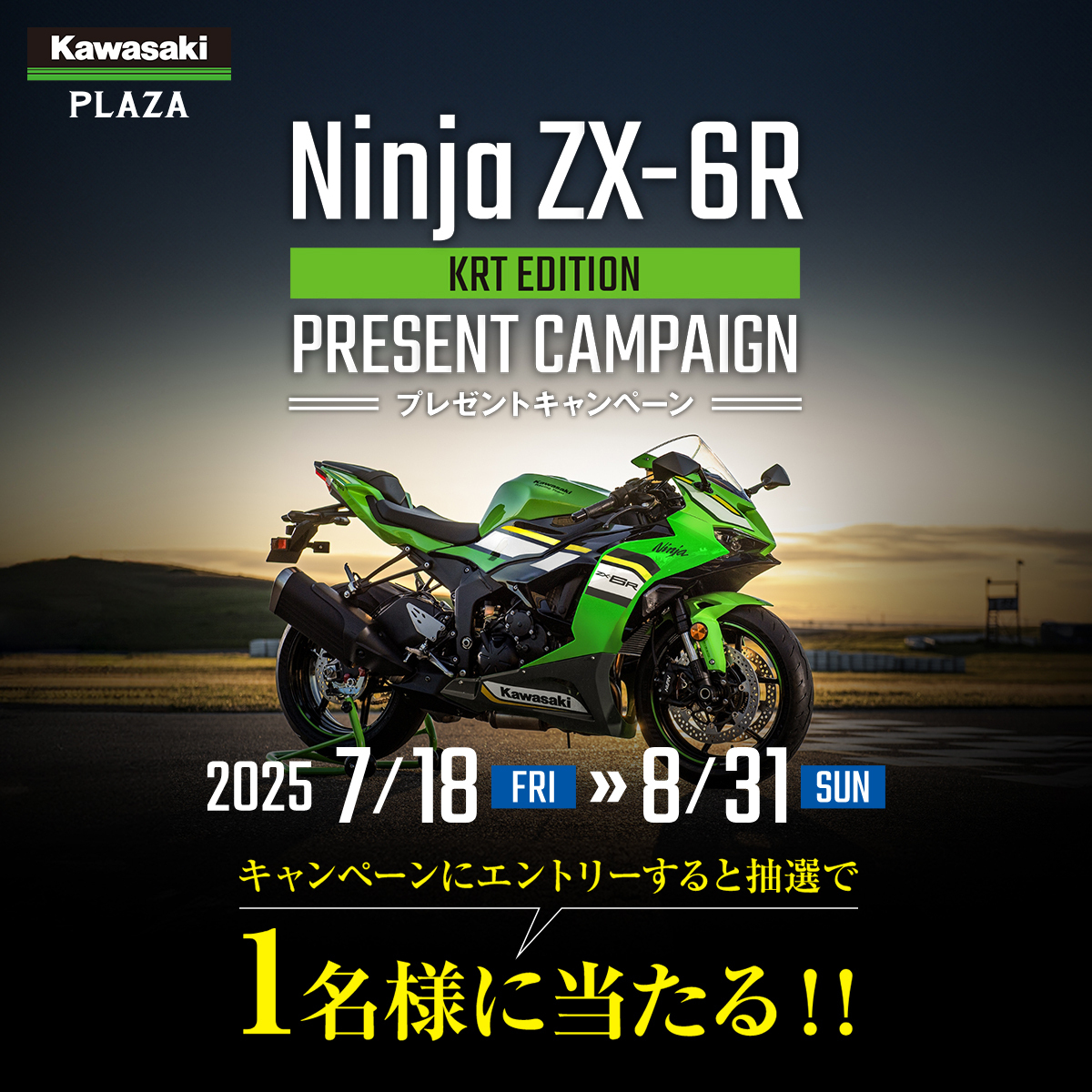 100ページです 5年保証』 Ninja 2024 ZX-4RR モーターサイクル Edition