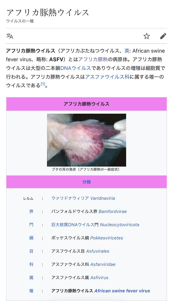 スペイン豚コレラ発生で輸入停止、生ハム高騰も