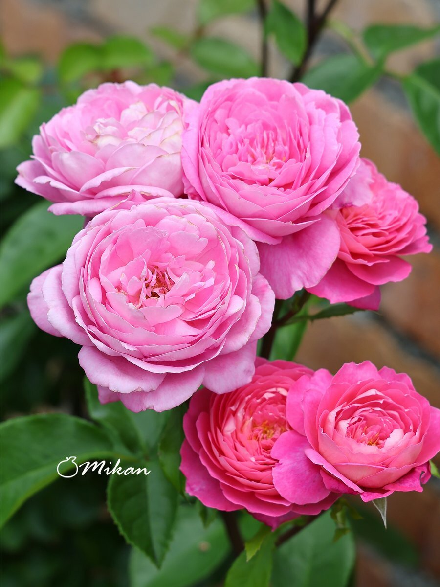 寒暖差で服装はどうすればいい？