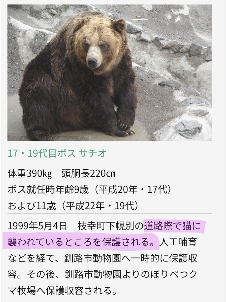 山形市職員、クマに襲われ重傷
