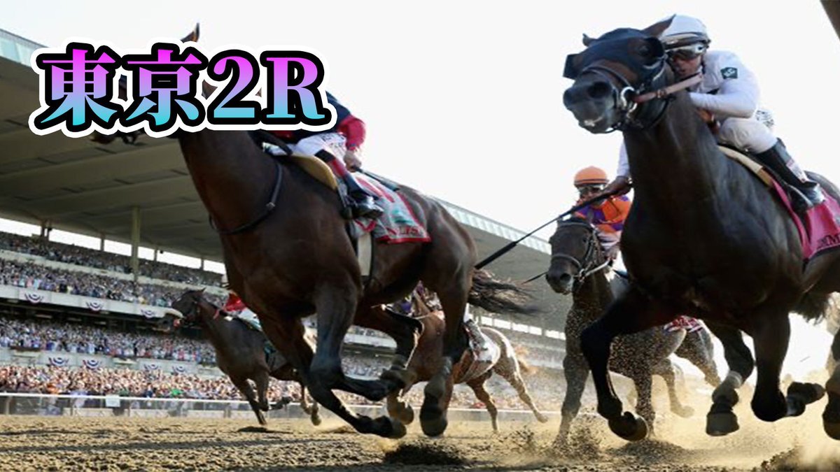 シェーロドラート、東京2Rで4着！今後の活躍に期待の声も