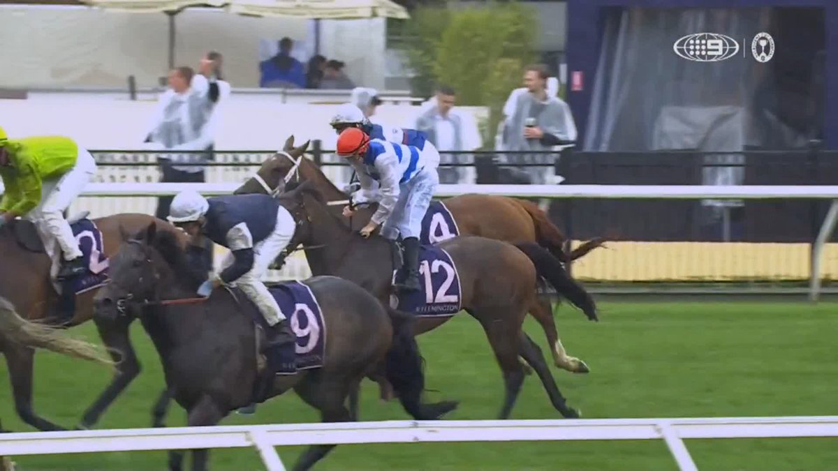 ゴールデンスナップ、豪G3で3着！今後の活躍は？