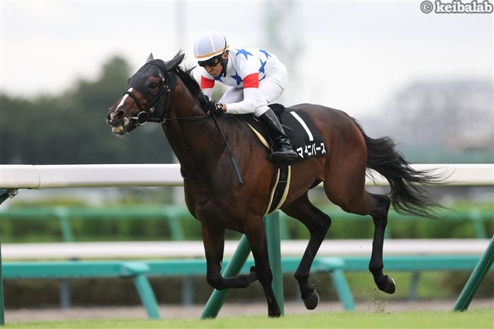 ラーシャローム、菊花賞でどんな活躍を見せる？