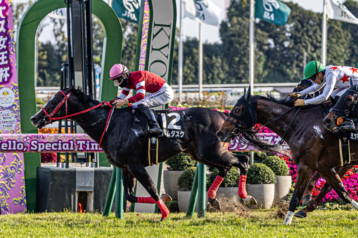 フロムダスクが3年ぶりの勝利！ 