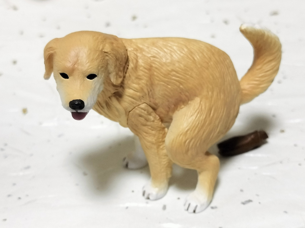 SNSで「面白おかしく」が話題に  - 賛否両論