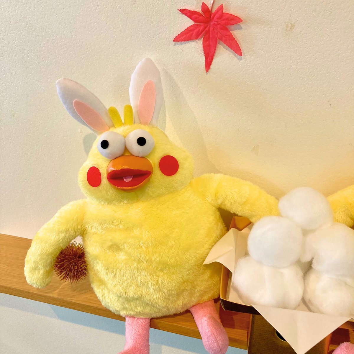 ポインコ兄弟」のYahoo!リアルタイム検索 - X（旧Twitter）を