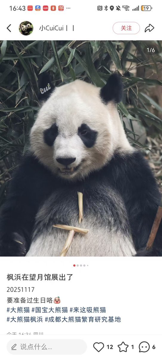 楓浜、ついにアドベンチャーワールドで公開！