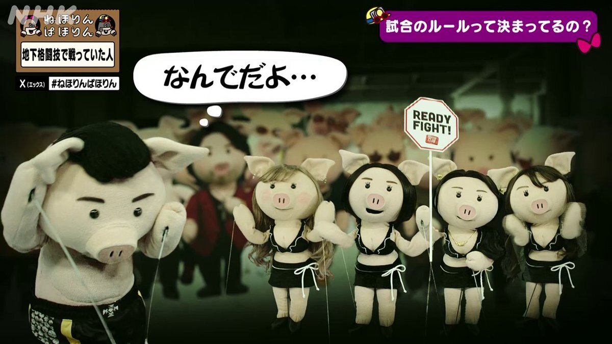 地下格闘技の世界に迫る「ねほりんぱほりん」