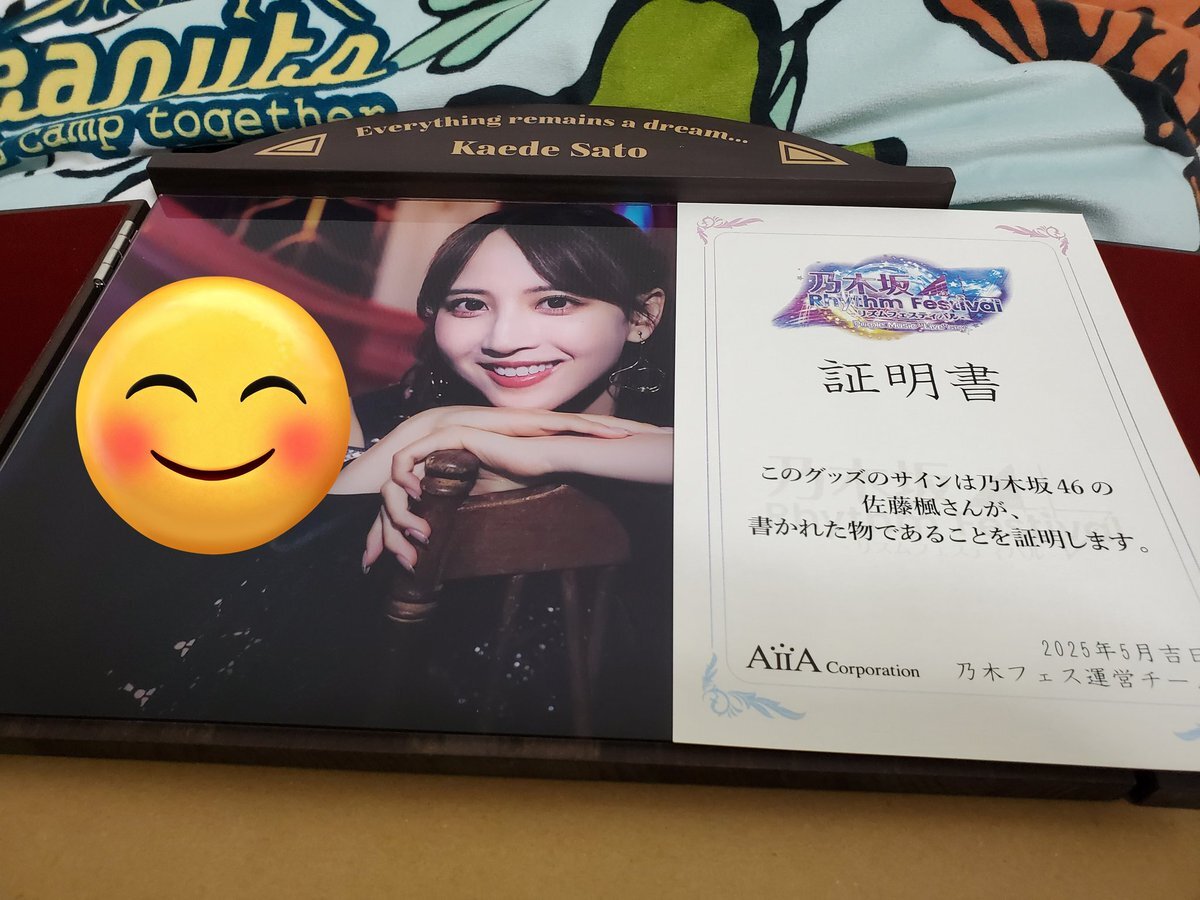 乃木坂46 佐藤璃果　乃木フェス　プリントカード　プリカ 乃木フェス 佐藤璃果 プリントカード プリカ 21枚 【公式通販】