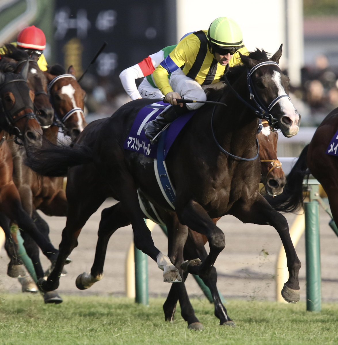 マスカレードボールが天皇賞秋制覇！ 