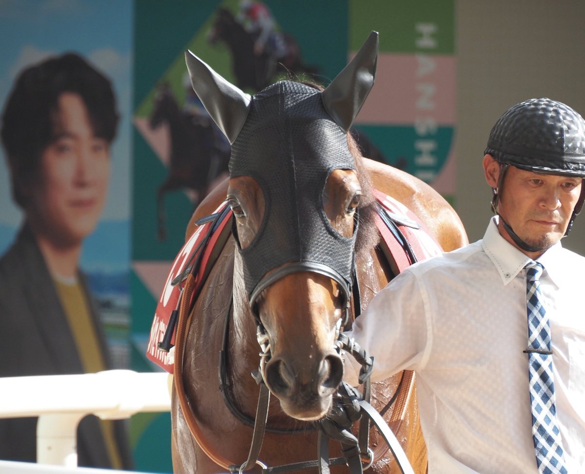 プティフォリー」のYahoo!リアルタイム検索 - X（旧Twitter）を