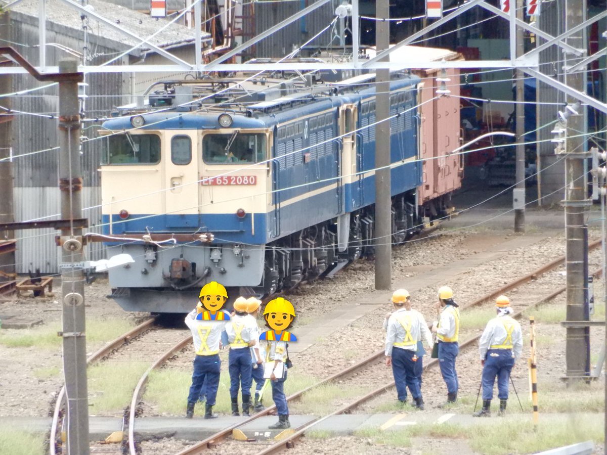 でらゆうげ❗️ Amazon | MOVMAO 精密ドライバーセット 145 in 1 トルクス