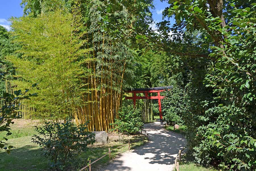 フランス大統領、中国訪問でパンダ協力延長と経済協力強化