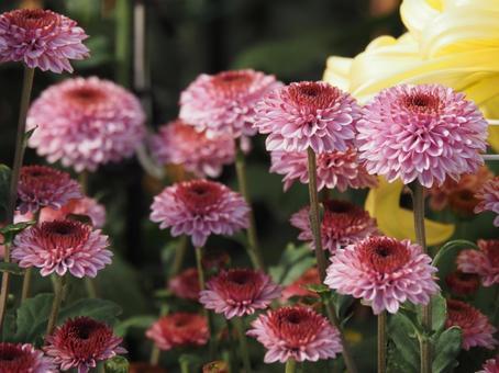 キンキンキラキラ金曜日！SNSで週末の喜びを分かち合う