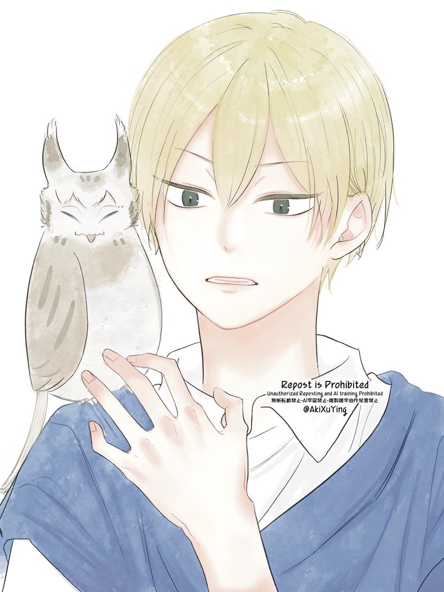 ハイキュー 漫画 ハイキュー!! （全巻）｜漫画無料試し読み・電子書籍購入の