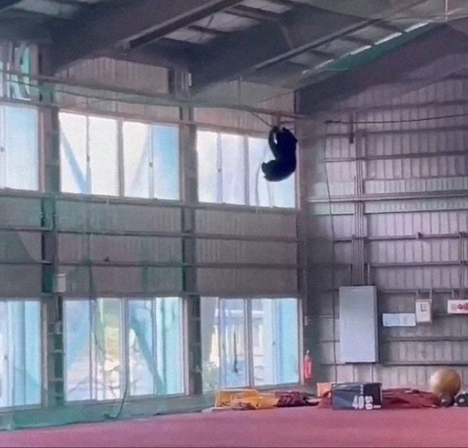 クマが高校野球部の練習場へ侵入